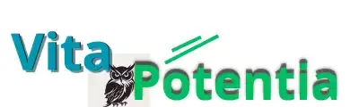 PSA Schema Dados Estruturados WP
